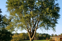 20190130_193659